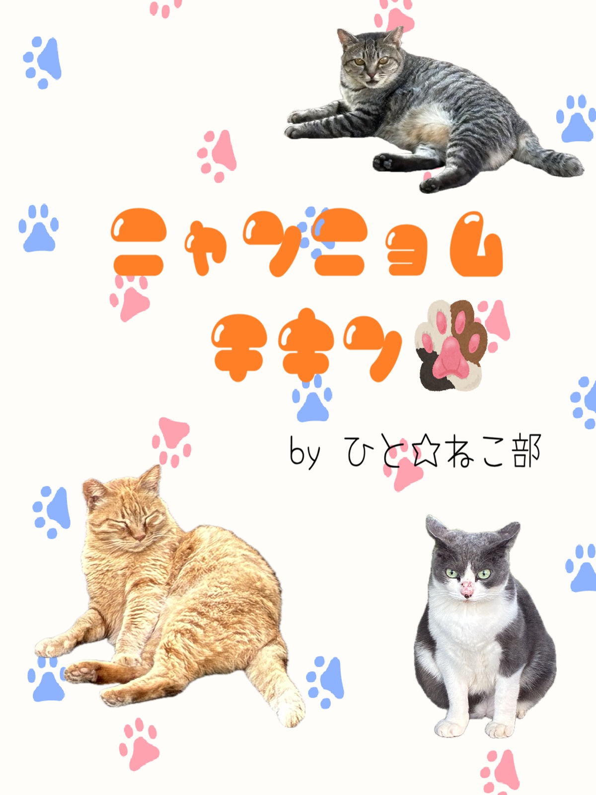 模擬店写真