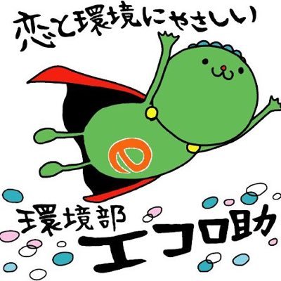 企画写真