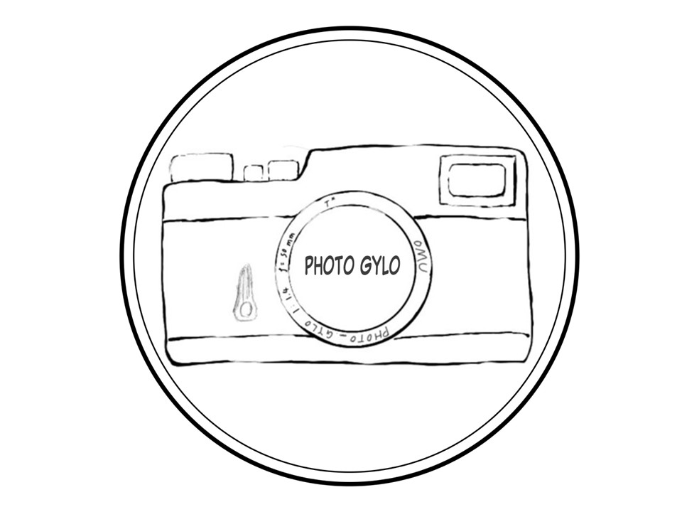 企画写真