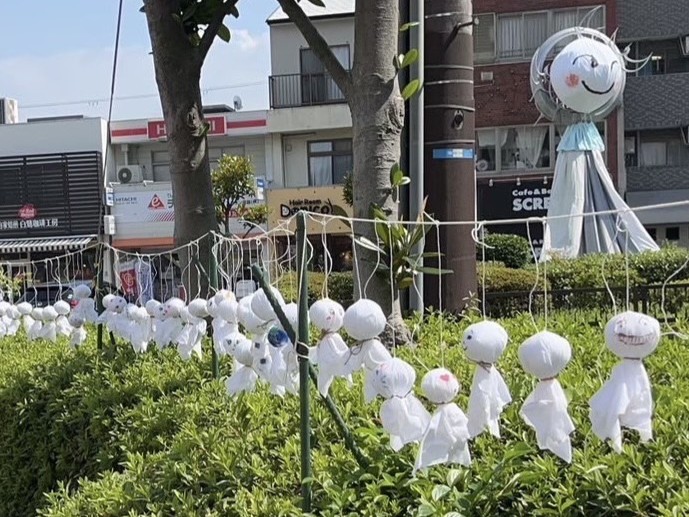 企画写真